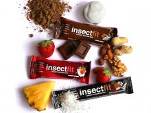 Barras proteicas Insectfit